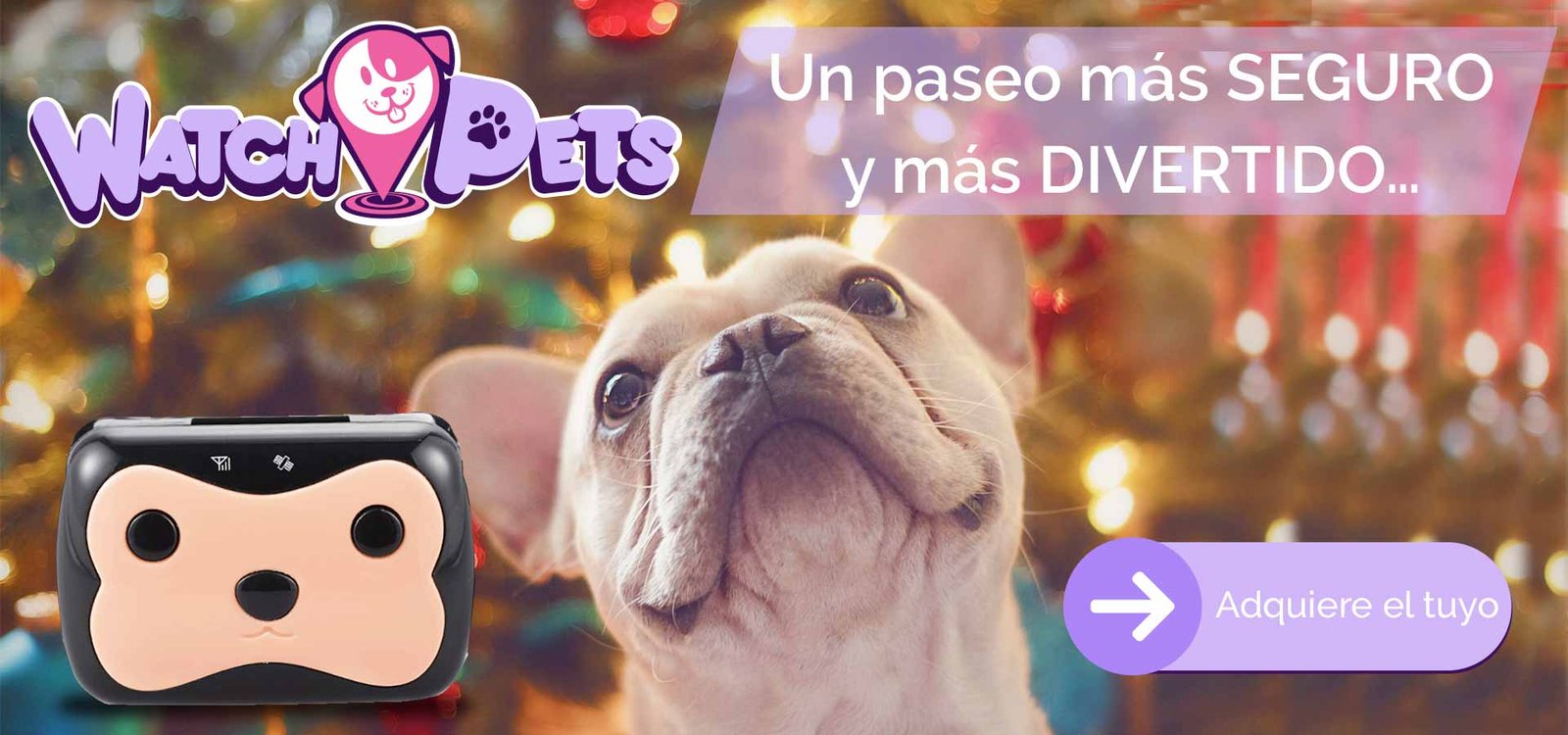 wathckids-pets-unpaseomasdivertido-V2